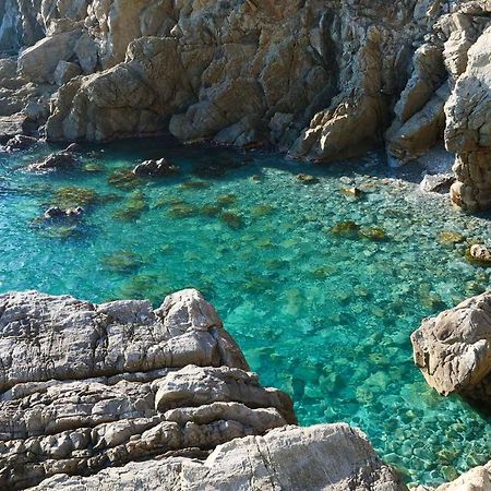 Il Cuore Di Moneglia - Moneglia Apartments Exteriör bild