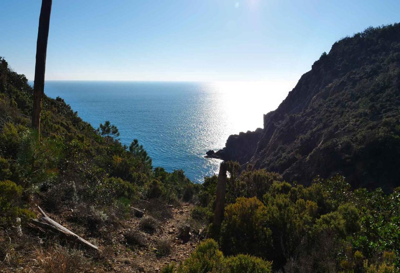 Il Cuore Di Moneglia - Moneglia Apartments Exteriör bild